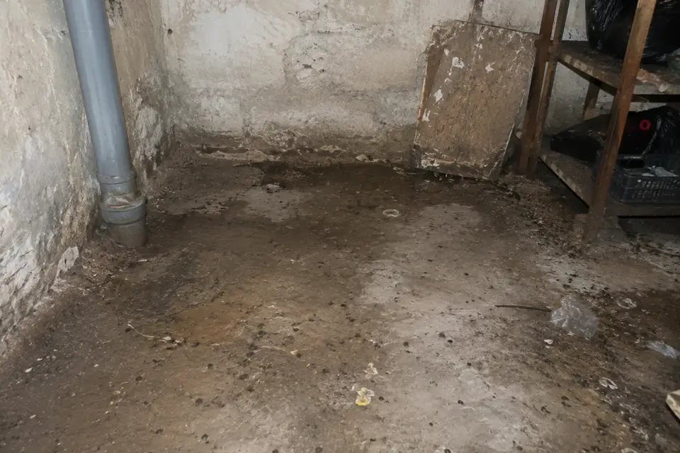 Почистване на мазета след плъхове в Бенковски