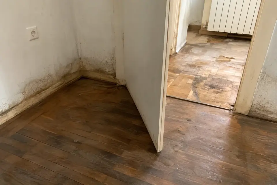 Премахване на умряло животно от жилище в Горна баня